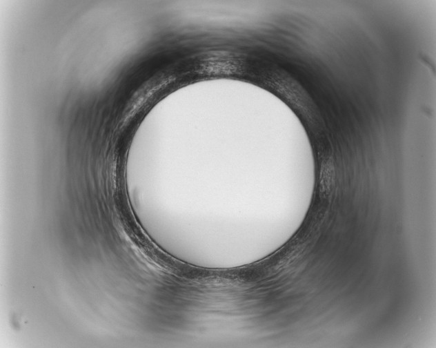 X0000102260722200808151840