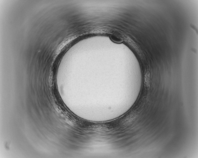 X0000102260724200808151840