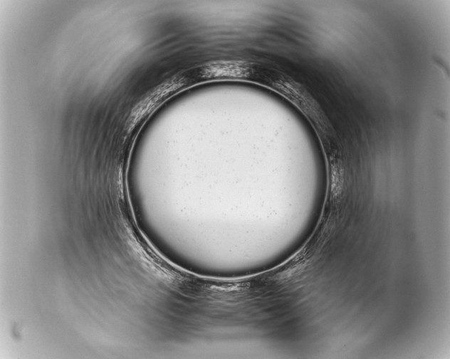 X0000102260725200808151840