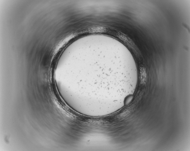 X0000102260726200808151840