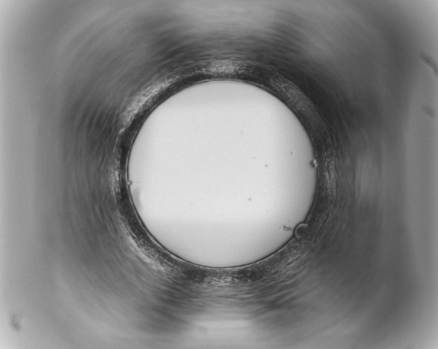 X0000102260728200808151840