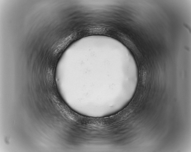 X0000102260729200808151840