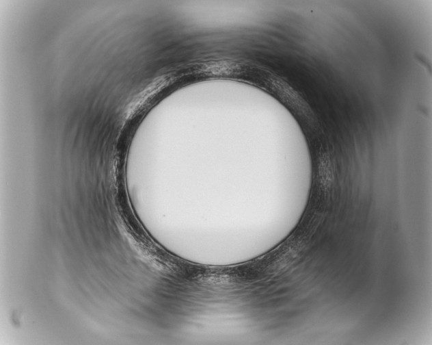 X0000102260730200808151840