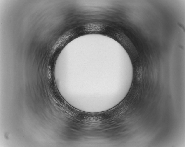 X0000102260731200808151840