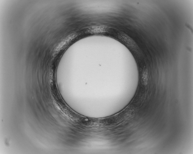 X0000102260732200808151840