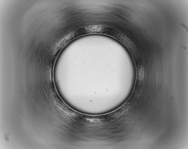 X0000102260733200808151840