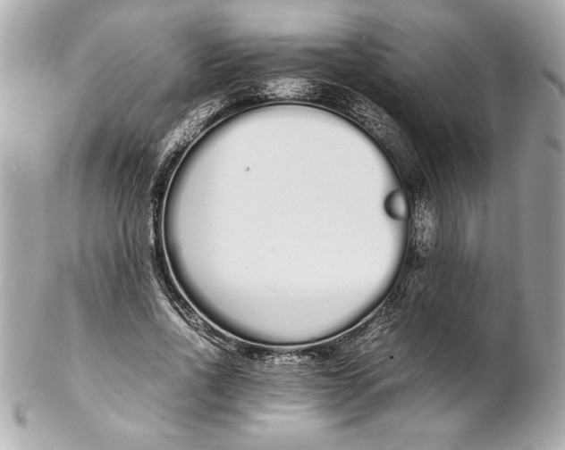 X0000102260734200808151840