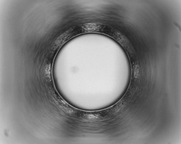 X0000102260737200808151840