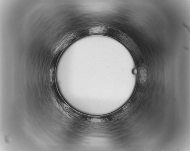 X0000102260738200808151840