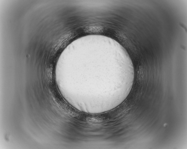 X0000102260739200808151840