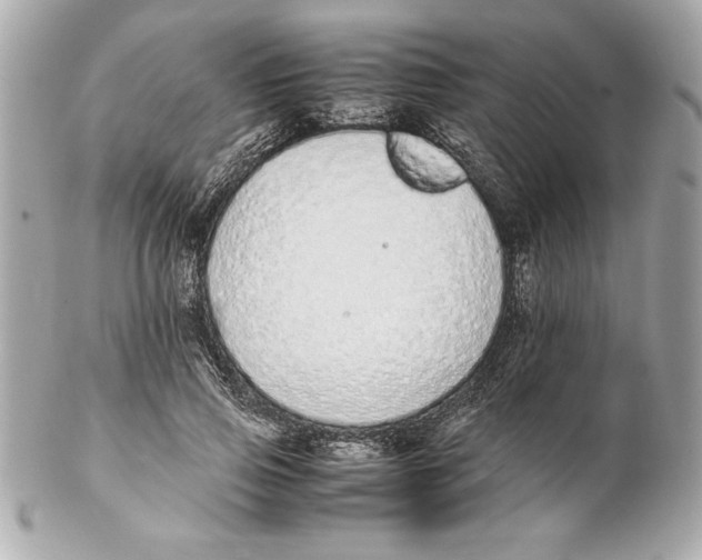 X0000102260741200808151840