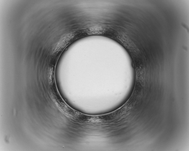 X0000102260742200808151840