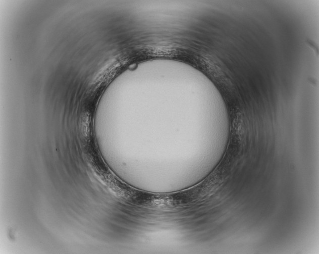 X0000102260744200808151840