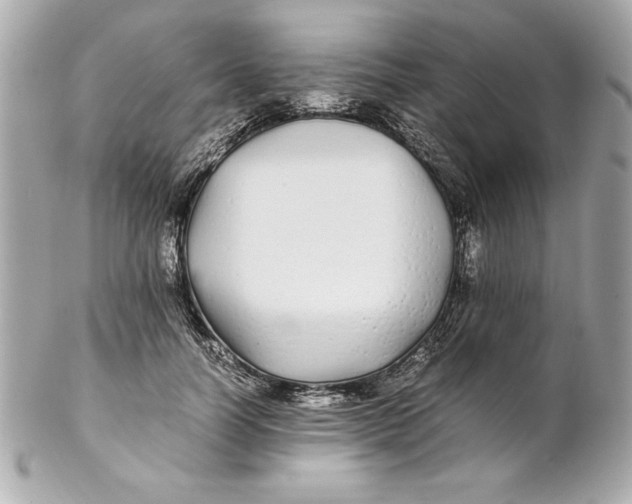 X0000102260746200808151840