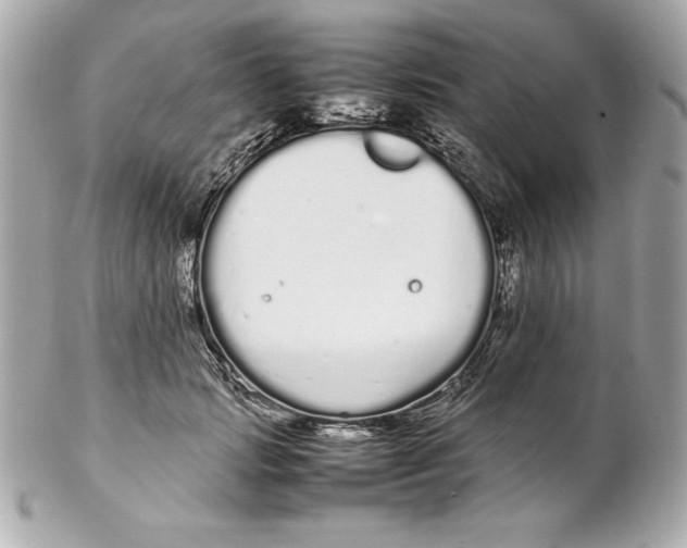 X0000102260749200808151840