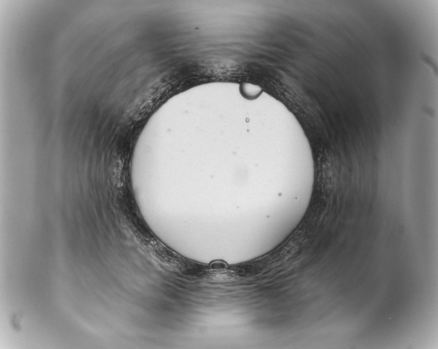 X0000102260750200808151840