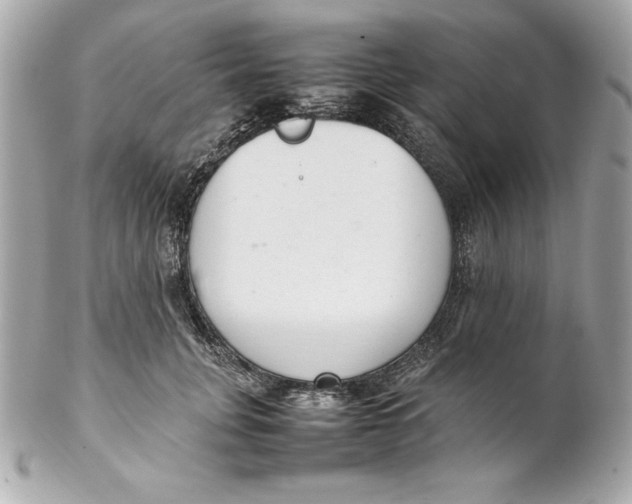 X0000102260751200808151841