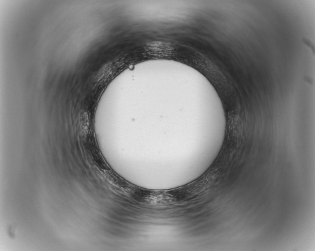 X0000102260752200808151841