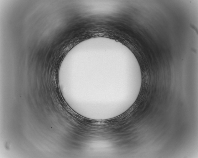 X0000102260754200808151841