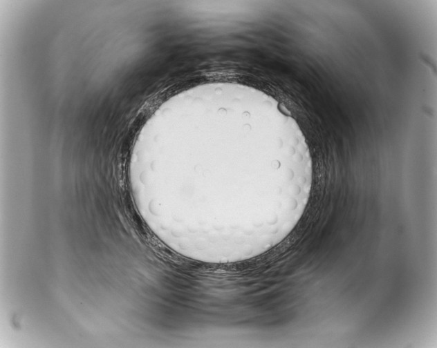 X0000102260755200808151841