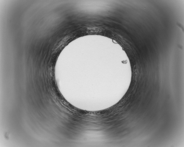 X0000102260756200808151841