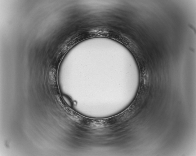 X0000102260757200808151841