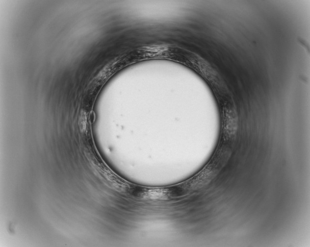 X0000102260758200808151841