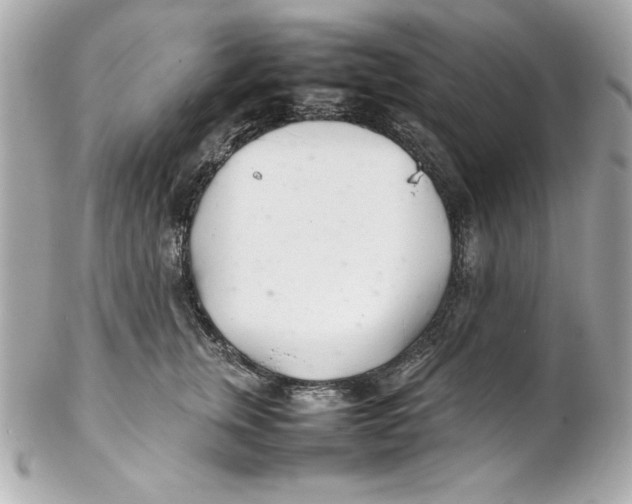 X0000102260759200808151841