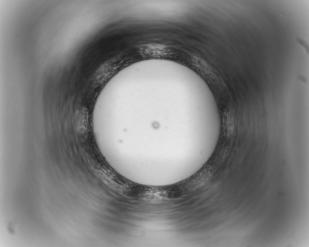 X0000102260760200808151841