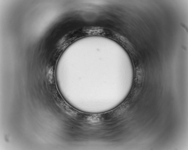 X0000102260761200808151841