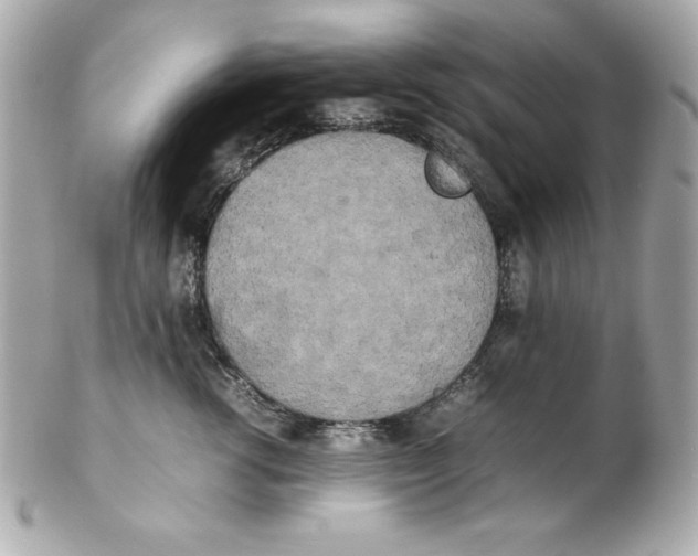 X0000102260762200808151841