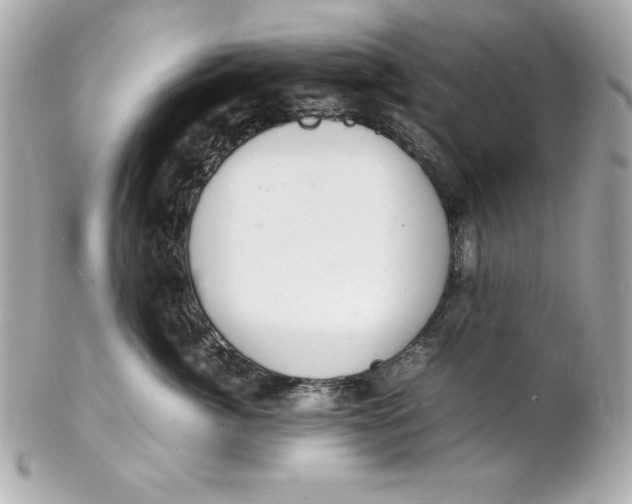 X0000102260764200808151841