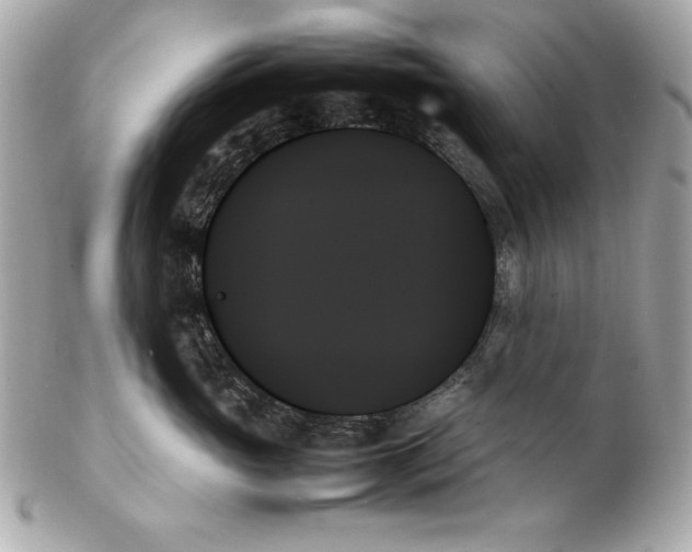 X0000102260765200808151841