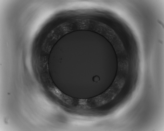 X0000102260766200808151841