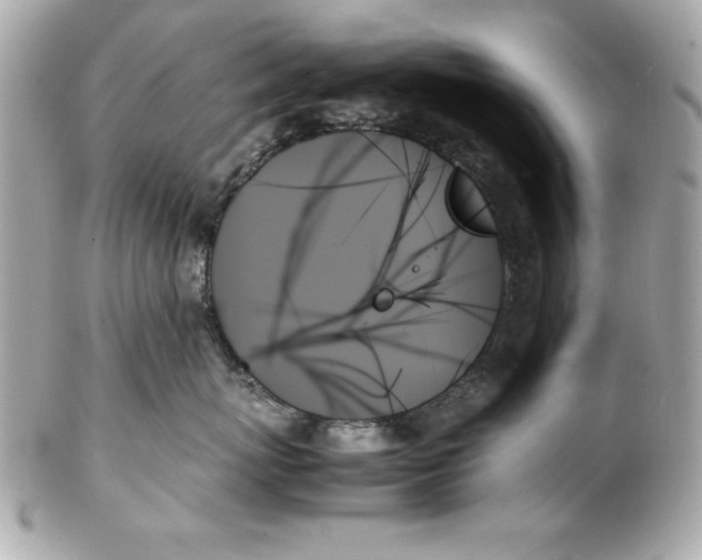 X0000102260767200808151841