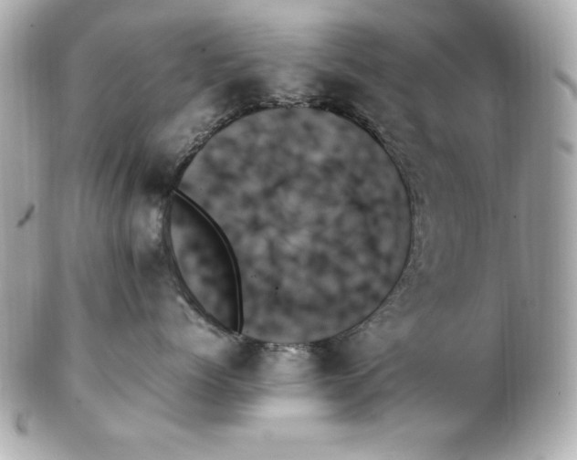 X0000102260768200808151841