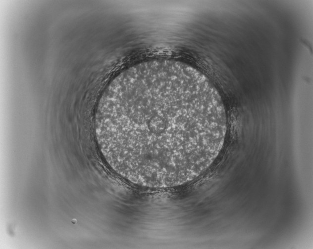 X0000102260769200808151840