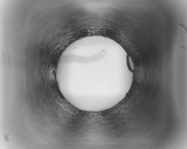 X0000102260770200808151840