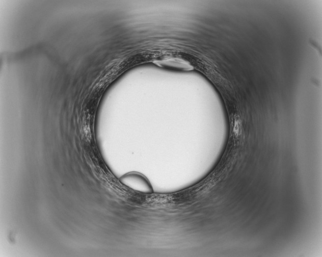 X0000102260771200808151840