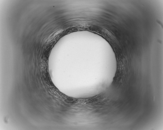 X0000102260773200808151840