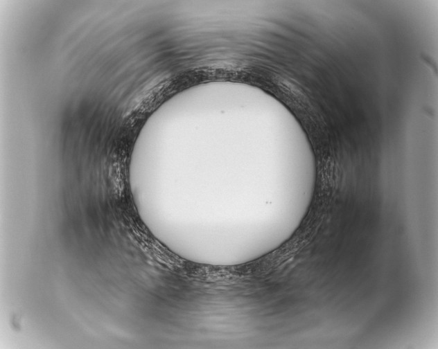 X0000102260774200808151840