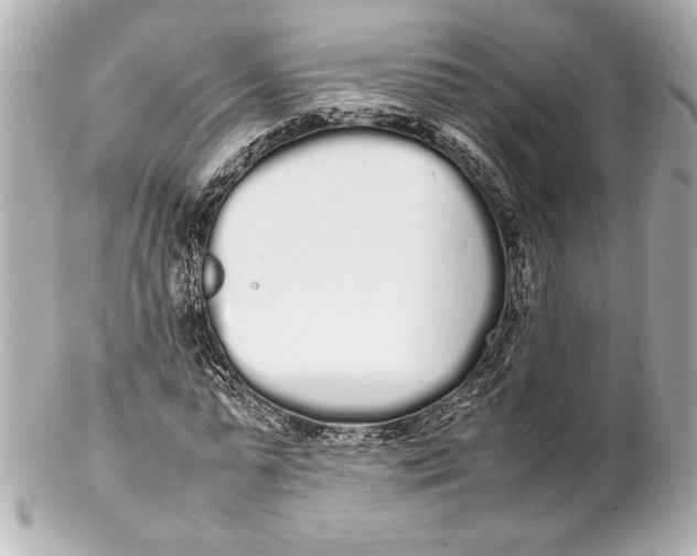 X0000102260775200808151840