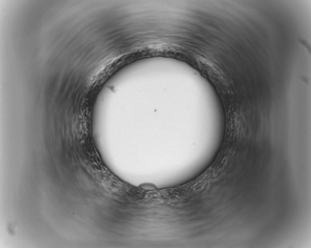 X0000102260776200808151840