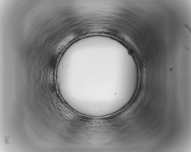 X0000102260777200808151840