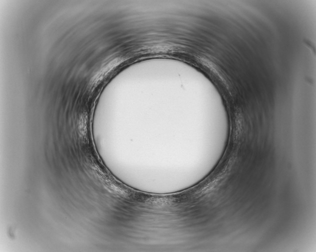 X0000102260778200808151840