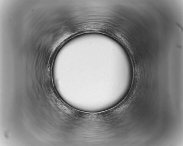 X0000102260779200808151840