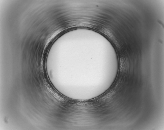 X0000102260780200808151840