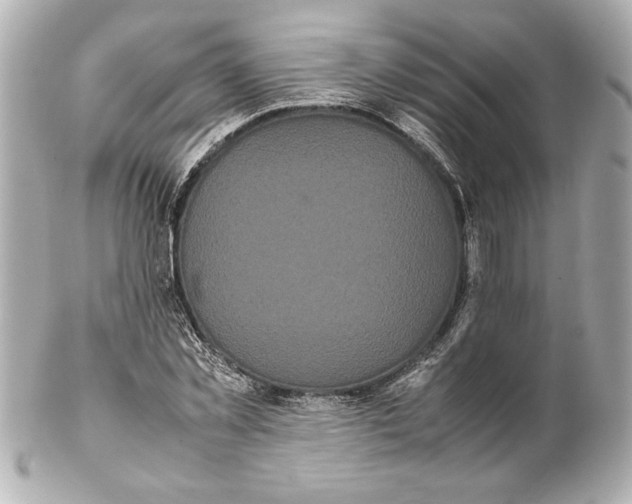 X0000102260781200808151840