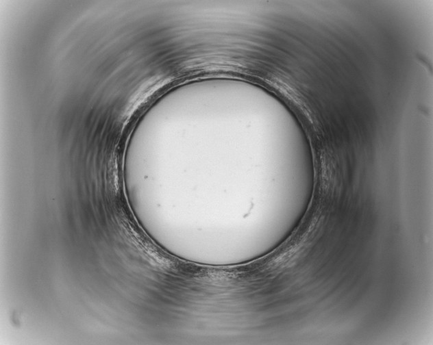 X0000102260782200808151840