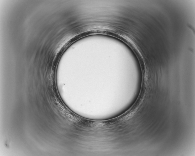 X0000102260783200808151840